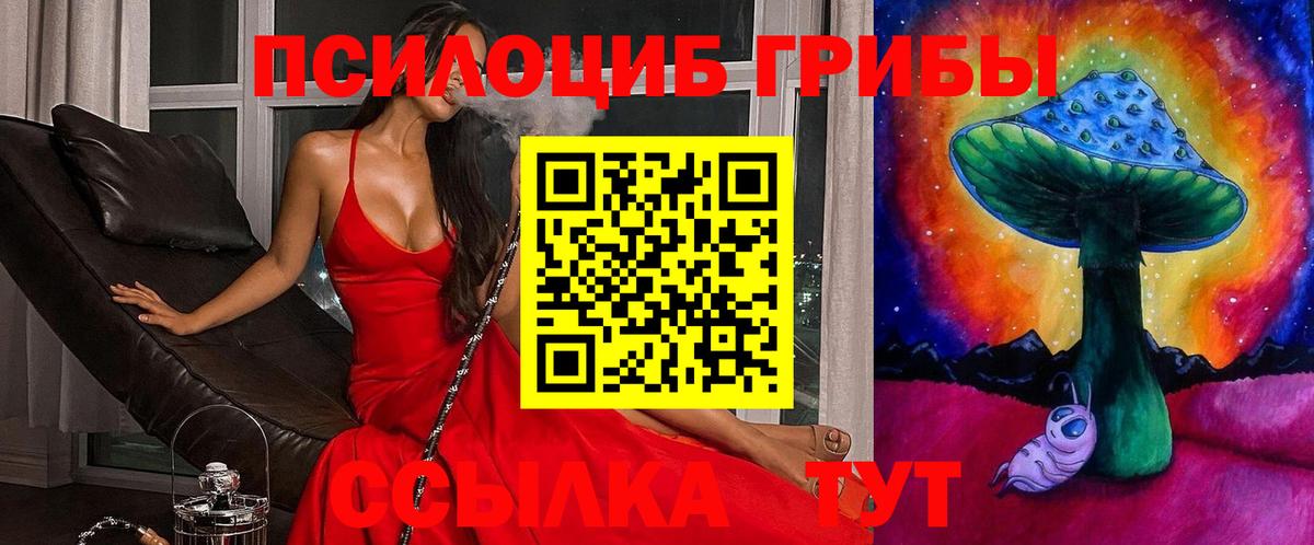 как найти   Галлюциногенные грибы Psilocybe  Вход с VPN  Родники 