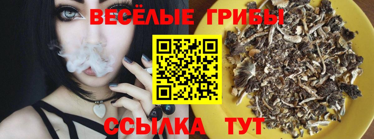 Псилоцибиновые грибы GOLDEN TEACHER Родники